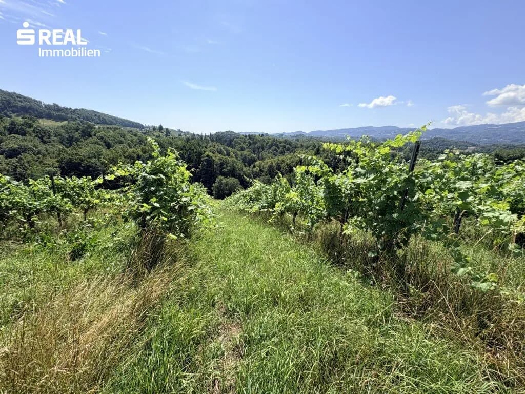 Immobilie kaufen in Leibnitz – 266 280 m², € 1.522.200 – Bild 2 von 4