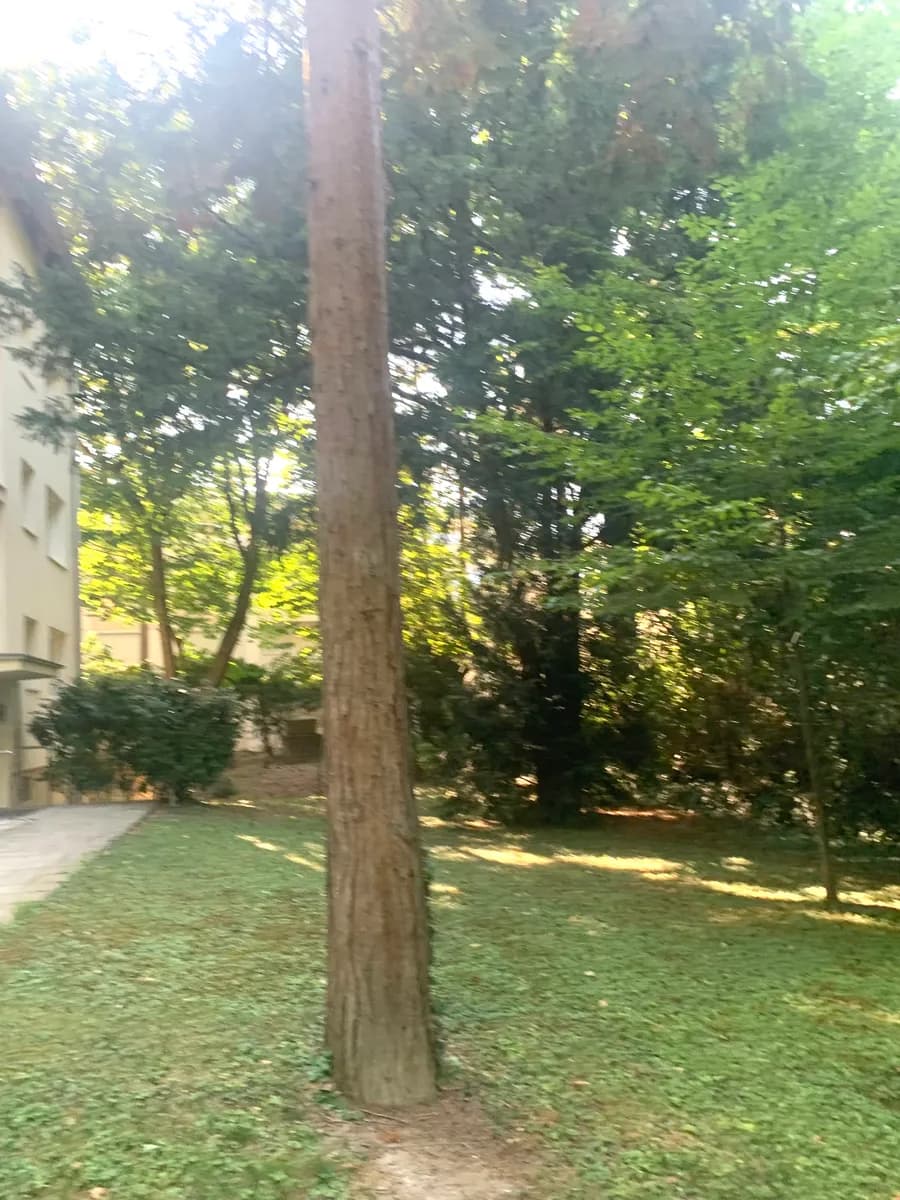 3-Zimmer-Wohnung mieten in Wien – 65 m², € 1.030 – Bild 4 von 38