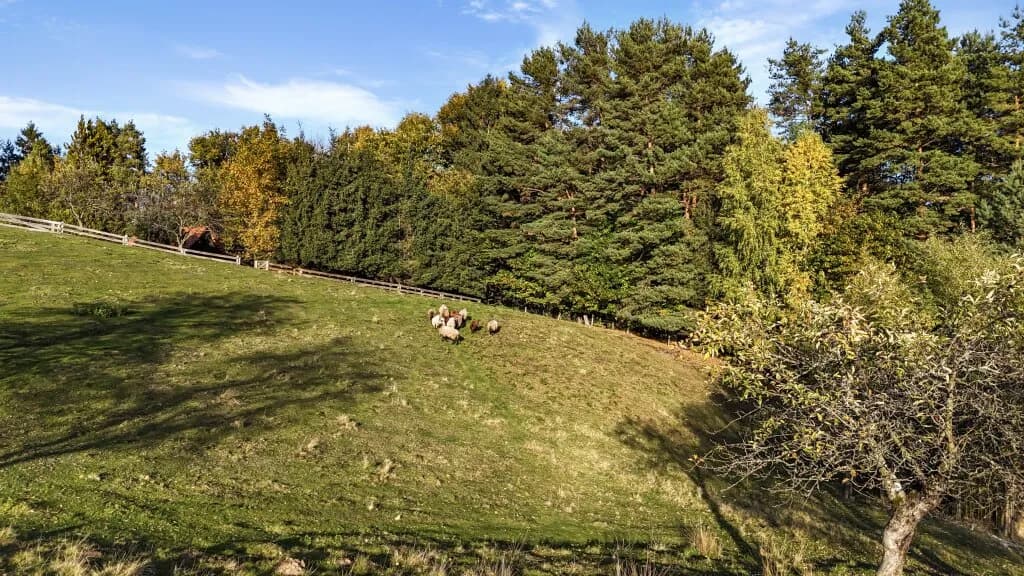 Haus kaufen in Deutschlandsberg – 576,33 m², € 3.650.000 – Bild 44 von 77