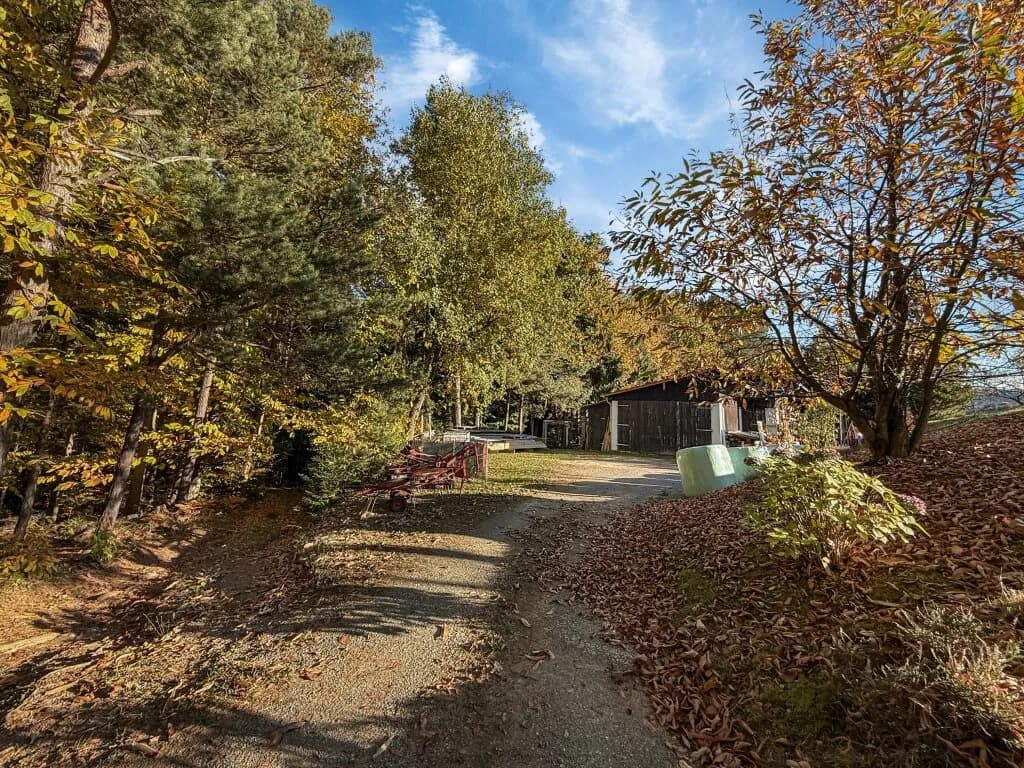 Haus kaufen in Deutschlandsberg – 576,33 m², € 3.650.000 – Bild 61 von 77
