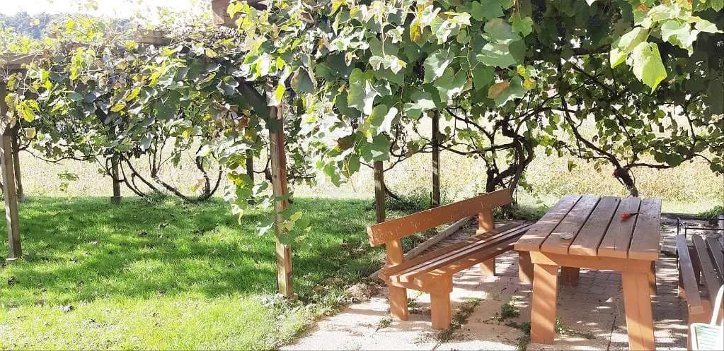 10-Zimmer-Immobilie kaufen in Südoststeiermark – 378 m², € 298.000 – Bild 3 von 39