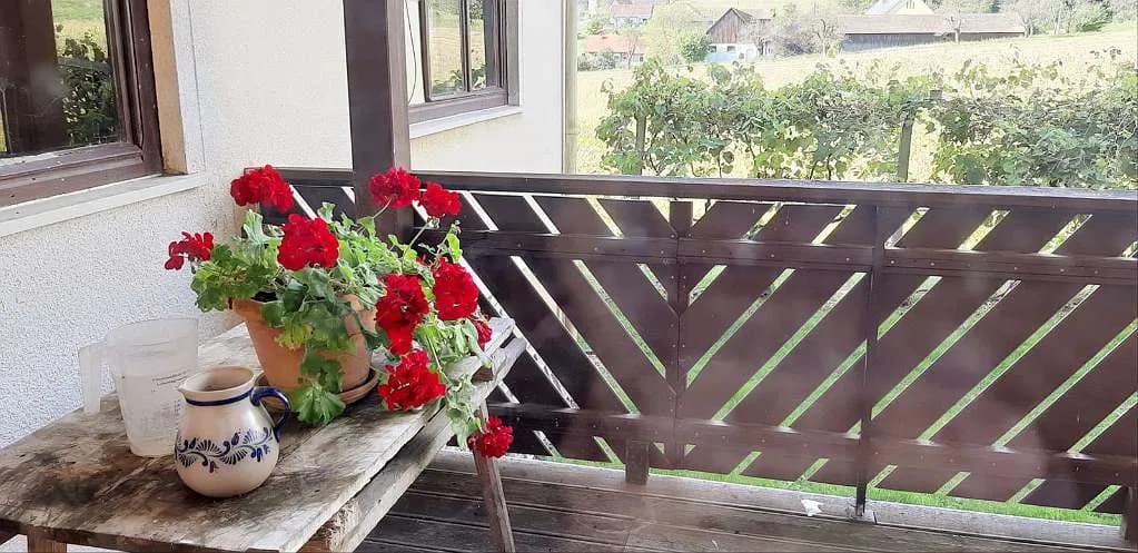10-Zimmer-Immobilie kaufen in Südoststeiermark – 378 m², € 298.000 – Bild 8 von 39