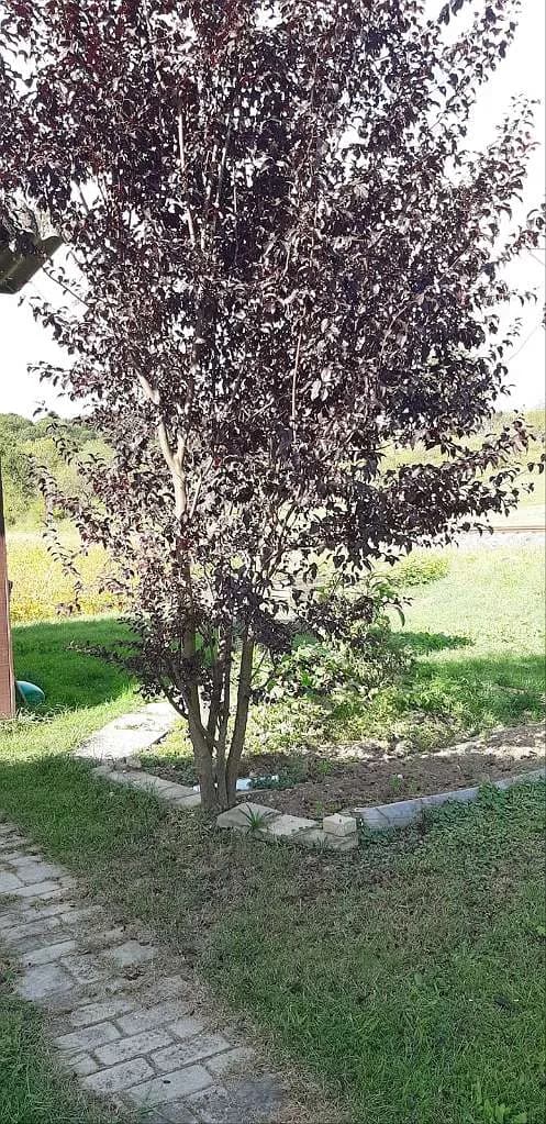 10-Zimmer-Immobilie kaufen in Südoststeiermark – 378 m², € 298.000 – Bild 28 von 39