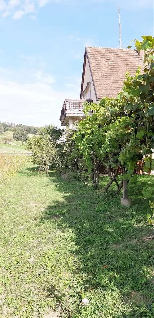 10-Zimmer-Immobilie kaufen in Südoststeiermark – 378 m², € 298.000 – Bild 29 von 39