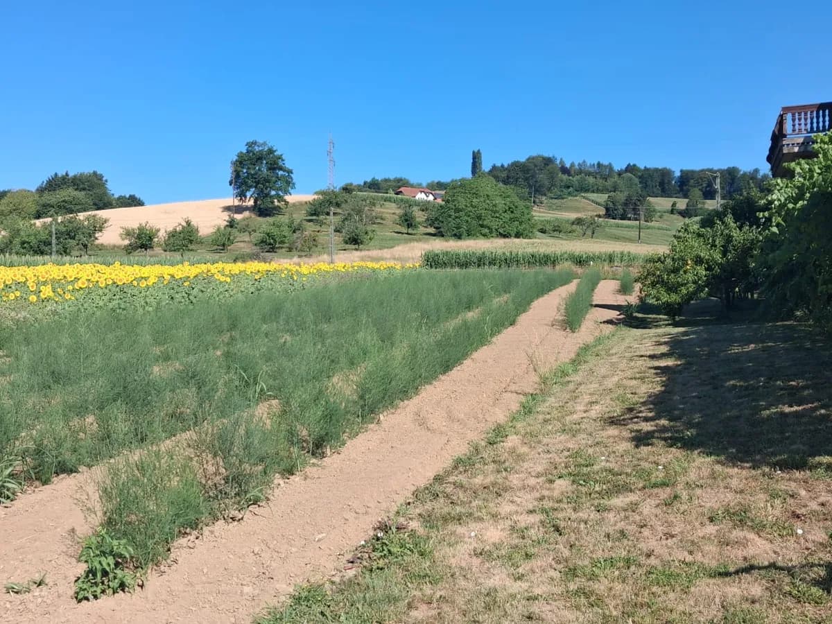 10-Zimmer-Immobilie kaufen in Südoststeiermark – 378 m², € 298.000 – Bild 39 von 39