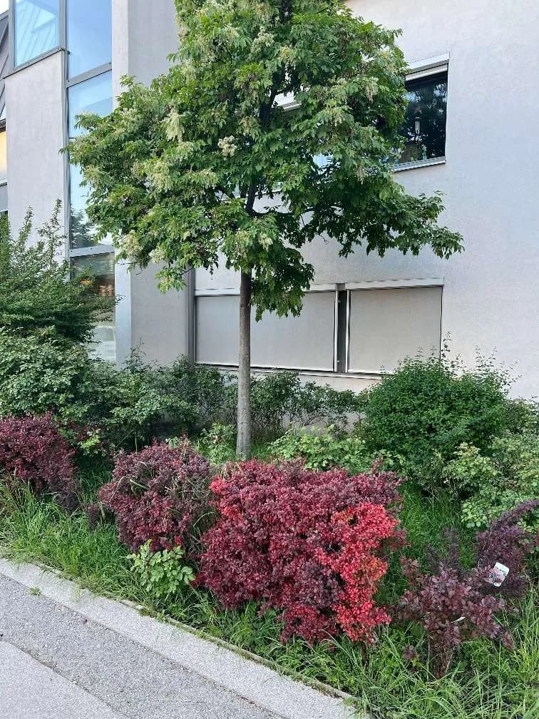 3-Zimmer-Wohnung mieten in Wien – 67 m², € 1.479