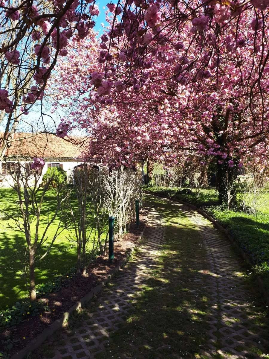 6-Zimmer-Haus kaufen in Jennersdorf – 330 m², € 695.000 – Bild 2 von 16