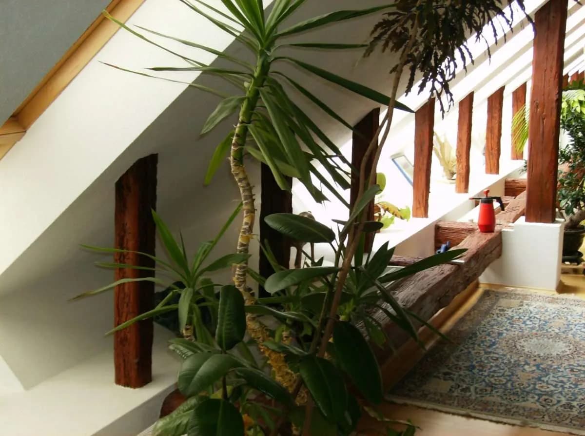 6-Zimmer-Haus kaufen in Jennersdorf – 330 m², € 695.000 – Bild 8 von 16