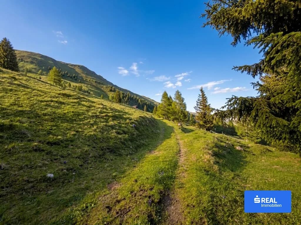 Immobilie kaufen in Lienz – 43 m², € 250.000 – Bild 3 von 4
