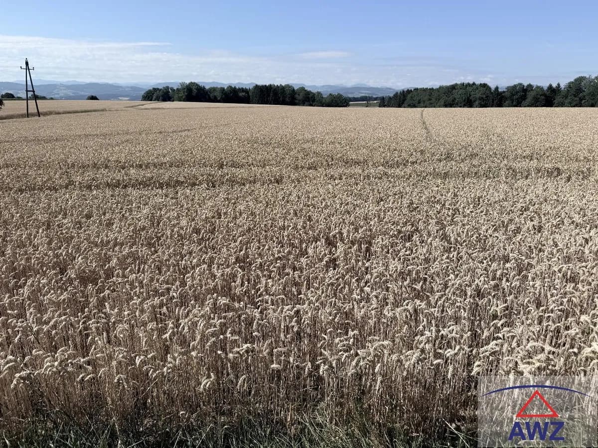 Grundstück kaufen in Amstetten – 56 993 m²