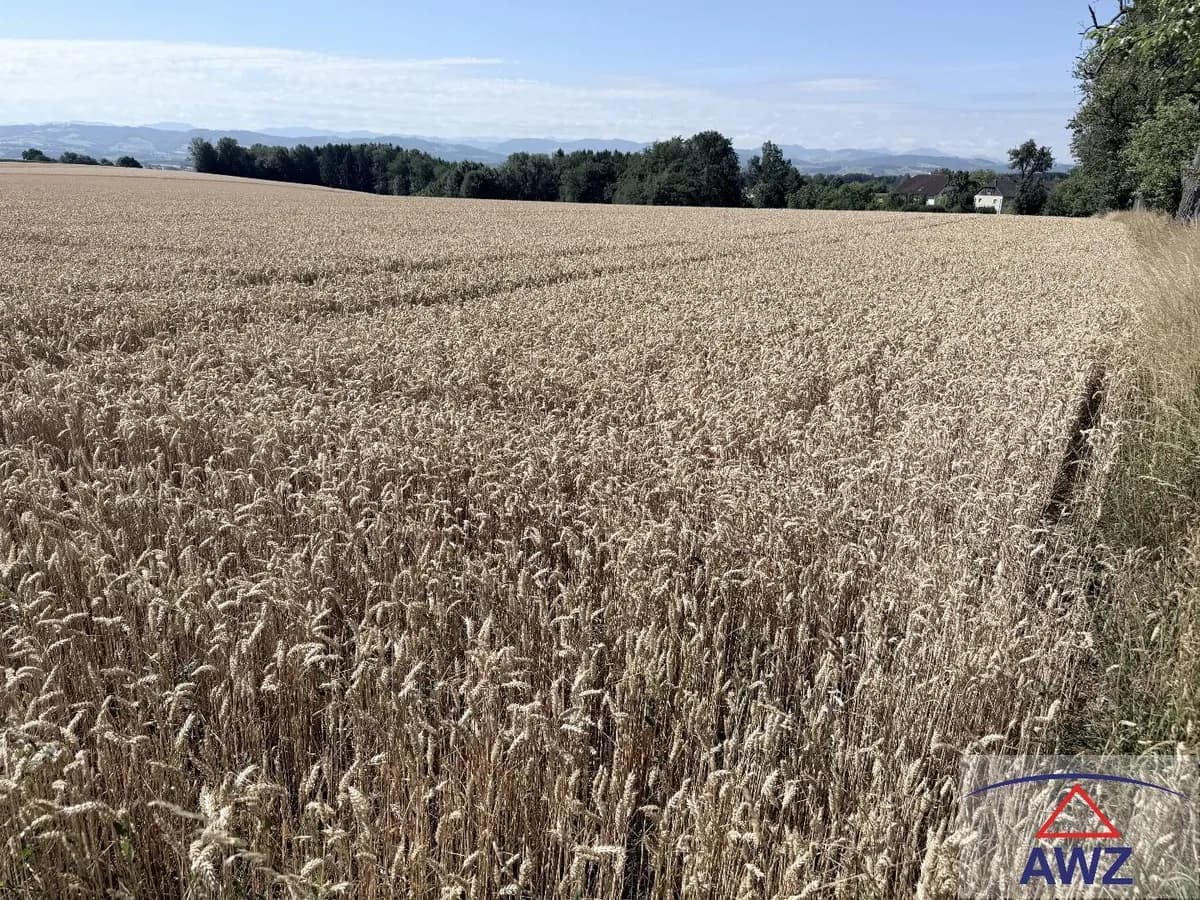 Grundstück kaufen in Amstetten – 56 993 m² – Bild 2 von 3