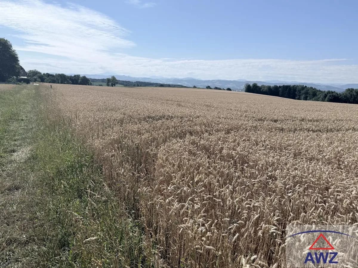 Grundstück kaufen in Amstetten – 56 993 m² – Bild 3 von 3