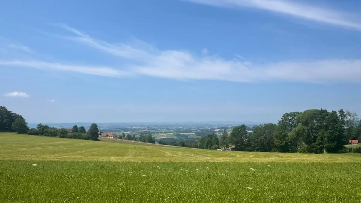 Grundstück kaufen in Urfahr-Umgebung – 825 m², € 215.000 – Bild 5 von 6