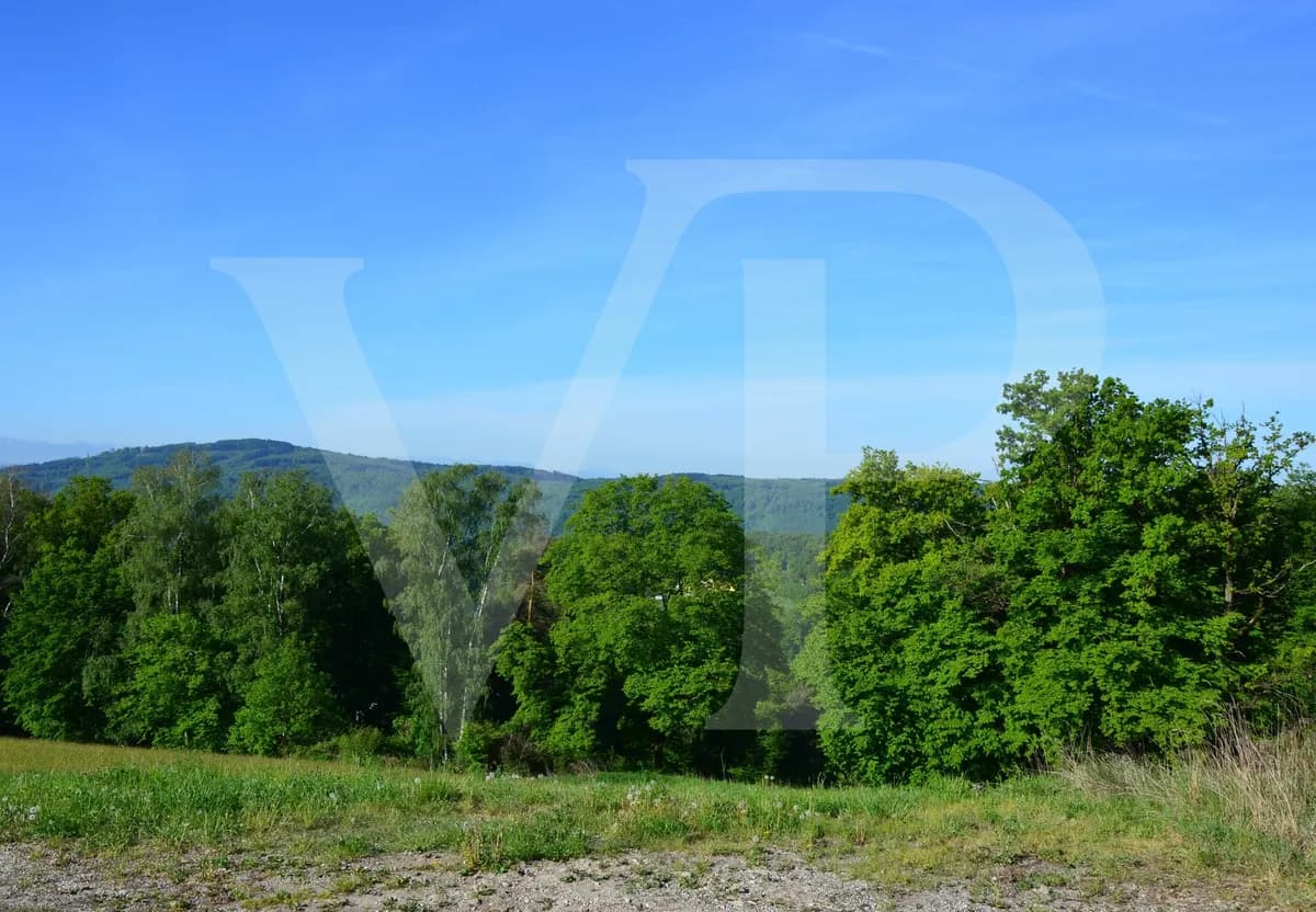 Grundstück kaufen in Urfahr-Umgebung – 3 032 m², € 1.590.000 – Bild 5 von 8