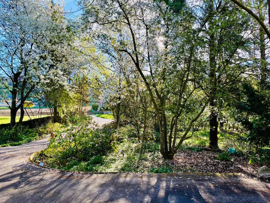 11-Zimmer-Haus kaufen in Perg – 300 m², € 650.000 – Bild 43 von 57