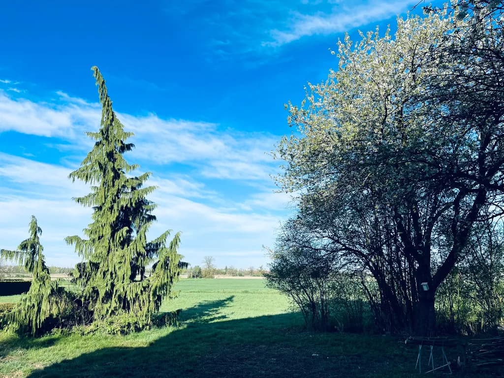 11-Zimmer-Haus kaufen in Perg – 300 m², € 650.000 – Bild 44 von 57