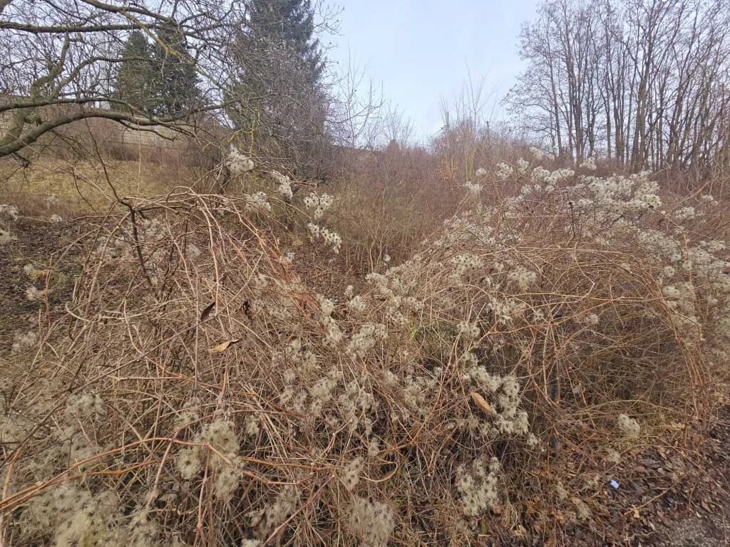 Grundstück kaufen in Sankt Pölten Land – 1 190 m², € 249.000 – Bild 3 von 5