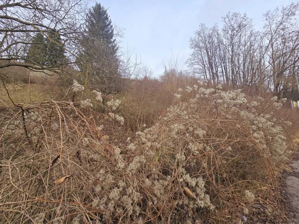 Grundstück kaufen in Sankt Pölten Land – 1 190 m², € 249.000 – Bild 5 von 5