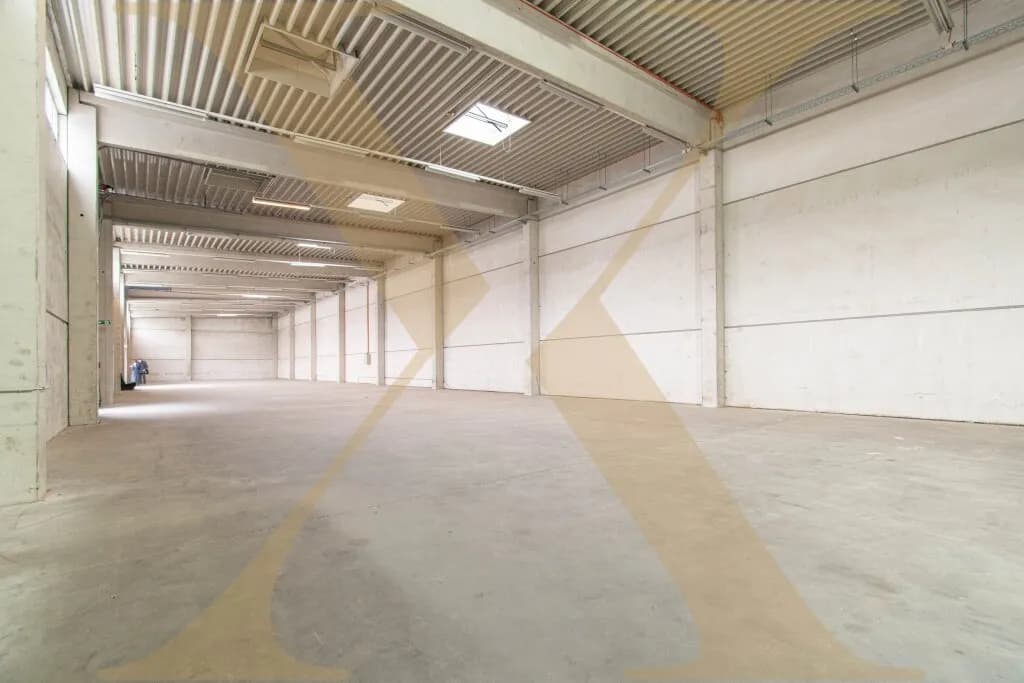 Gewerbeimmobilie mieten in Wels – 762 m²