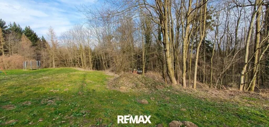 Immobilie kaufen in Linz Land – 3 317 m², € 329.000 – Bild 4 von 8