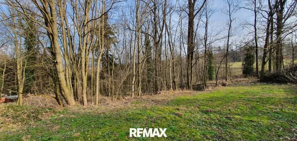 Immobilie kaufen in Linz Land – 3 317 m², € 329.000 – Bild 5 von 8
