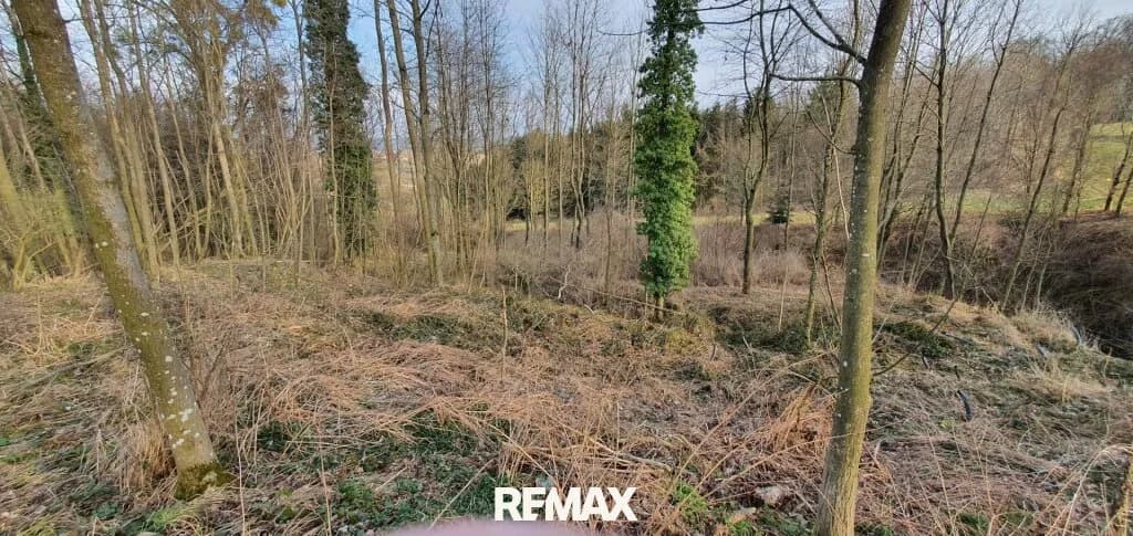 Immobilie kaufen in Linz Land – 3 317 m², € 329.000 – Bild 7 von 8