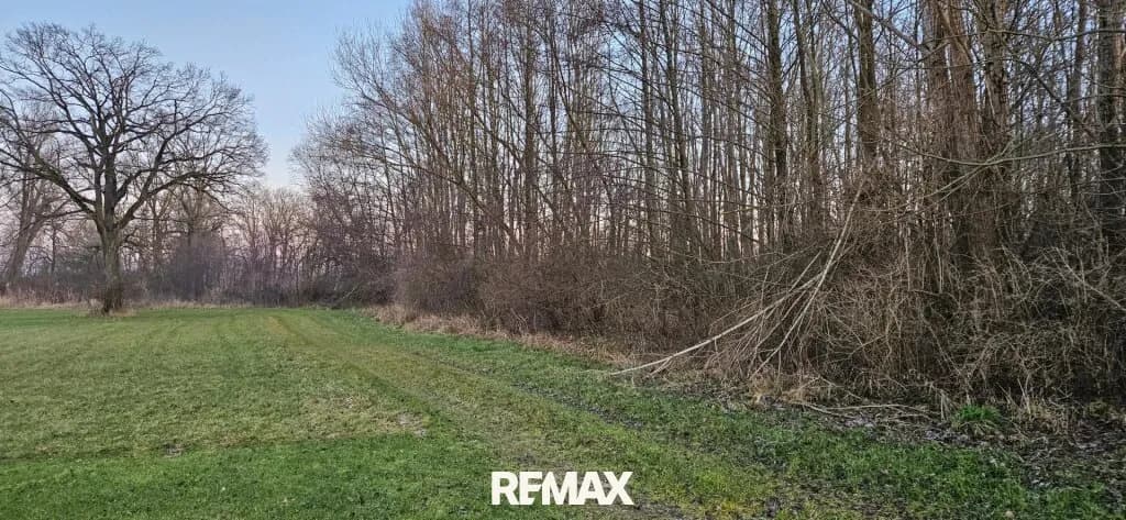 Grundstück kaufen in Linz Land – 20 974 m² – Bild 7 von 7