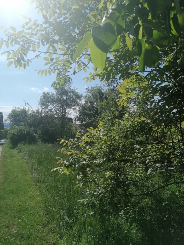 Grundstück mieten in Leibnitz – 1 486 m², € 100
