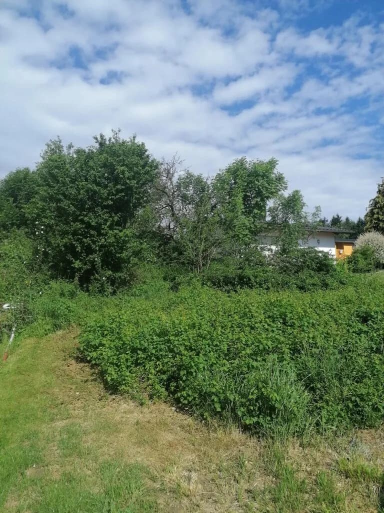 Grundstück mieten in Leibnitz – 1 486 m², € 100 – Bild 3 von 4