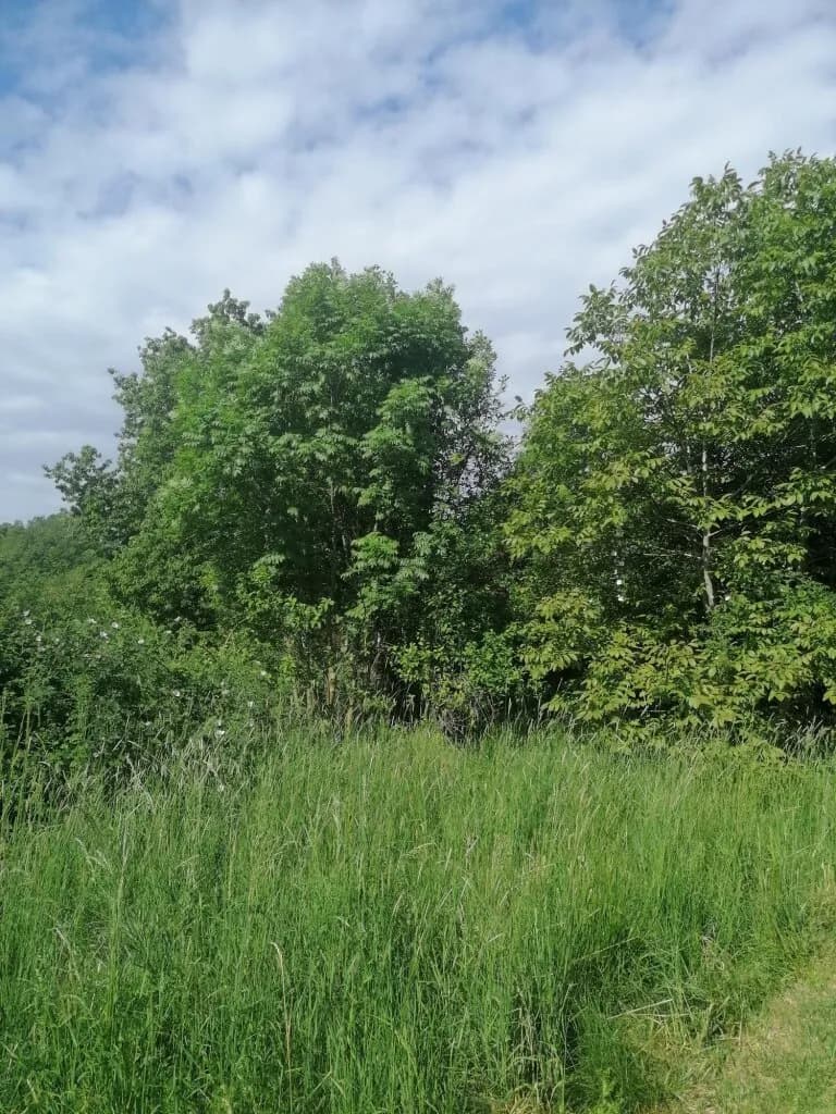Grundstück mieten in Leibnitz – 1 486 m², € 100 – Bild 4 von 4