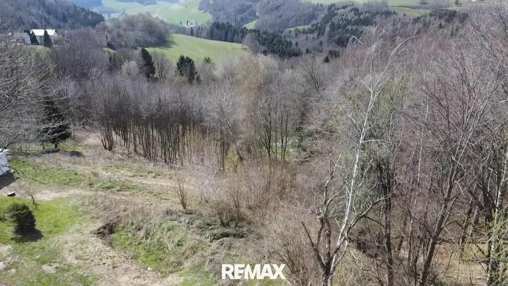 Grundstück kaufen in Wiener Neustadt Land – 2 433 m², € 122.650 – Bild 2 von 10