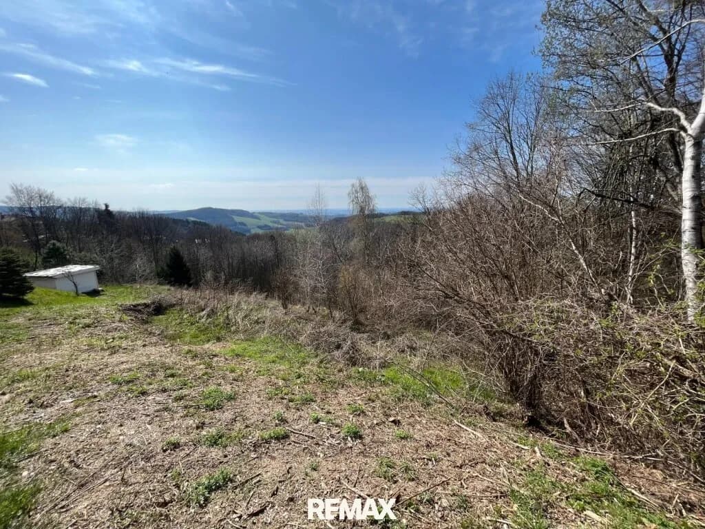 Grundstück kaufen in Wiener Neustadt Land – 2 433 m², € 122.650 – Bild 3 von 10