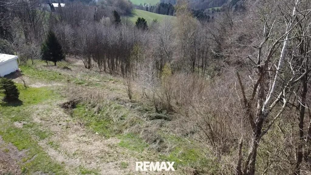 Grundstück kaufen in Wiener Neustadt Land – 2 433 m², € 122.650 – Bild 6 von 10