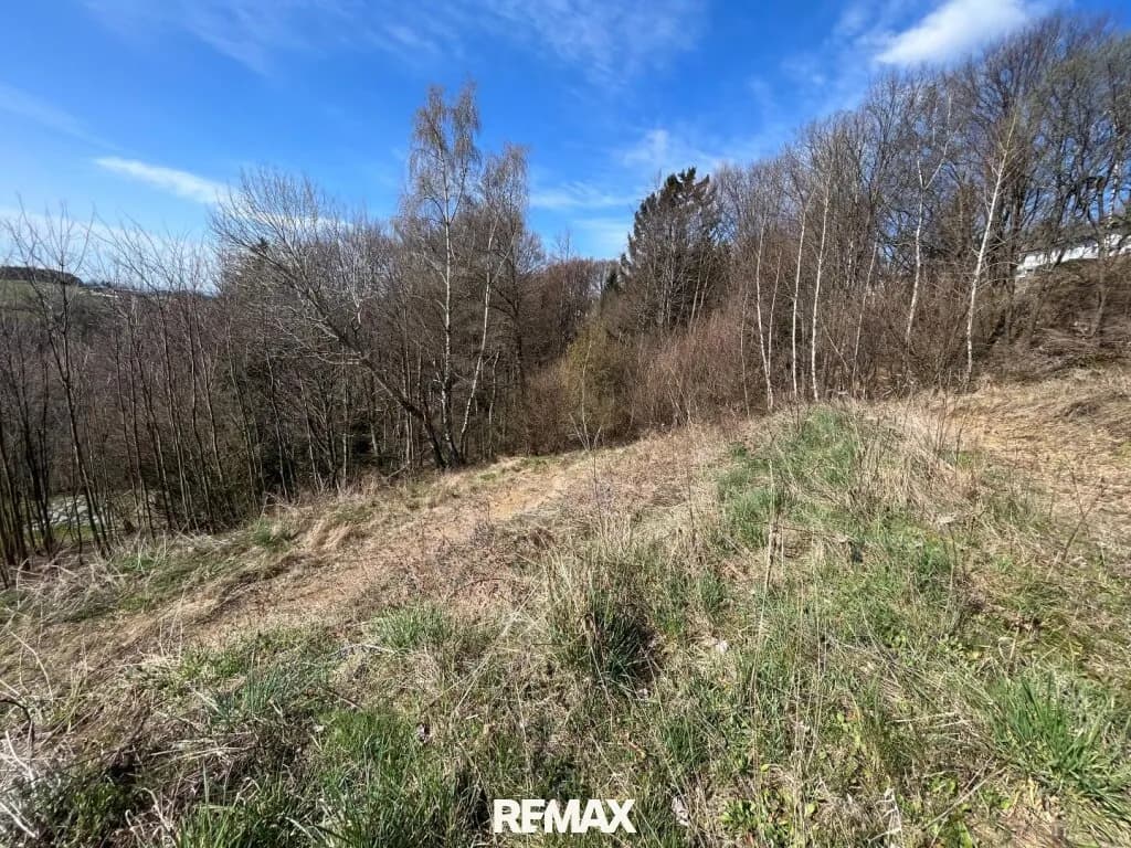 Grundstück kaufen in Wiener Neustadt Land – 2 433 m², € 122.650 – Bild 7 von 10