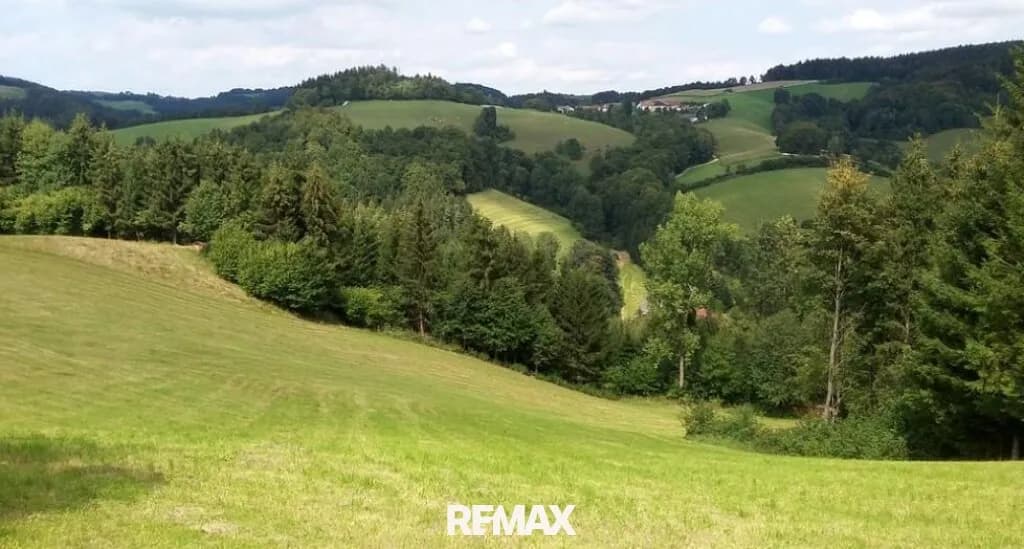 Immobilie kaufen in Wiener Neustadt Land – 418 750 m²