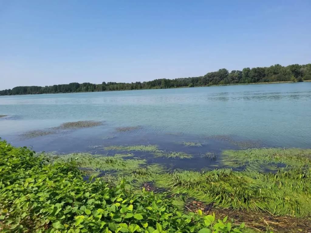 Grundstück kaufen in Tulln – 2 608 m², € 850.000 – Bild 4 von 10