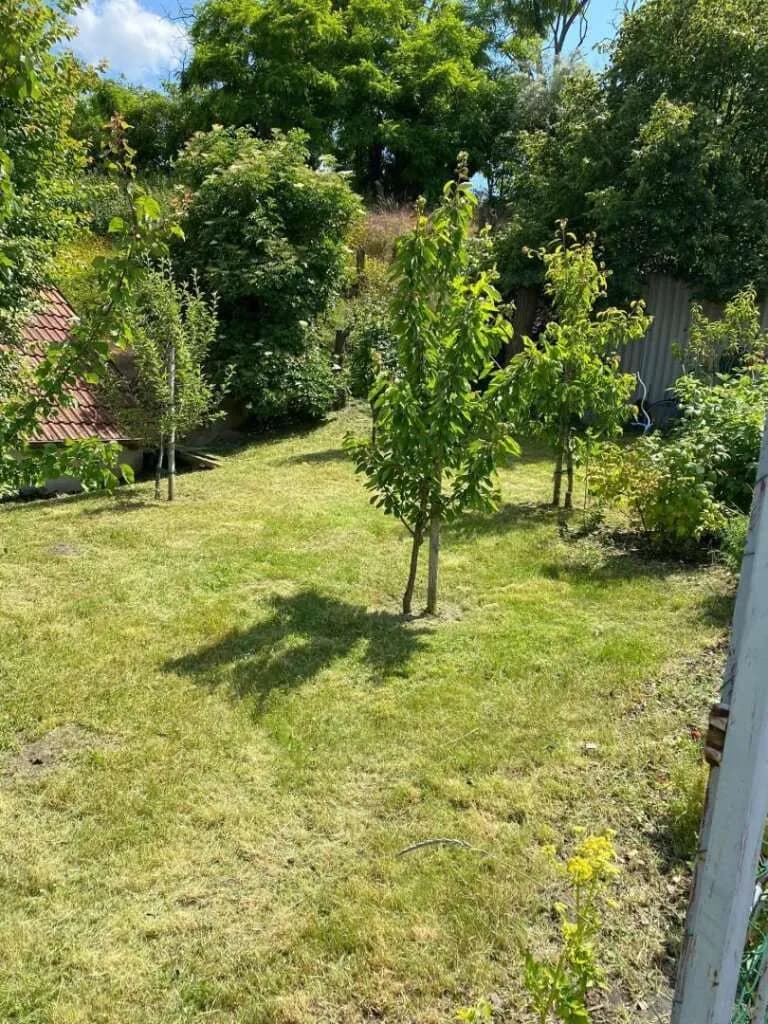 Immobilie kaufen in Gänserndorf – € 78.000 – Bild 9 von 11