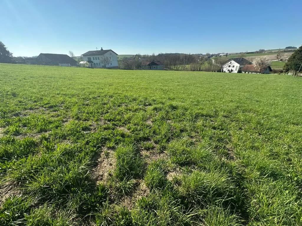 Grundstück kaufen in Ried im Innkreis – 740 m², € 66.600 – Bild 3 von 3