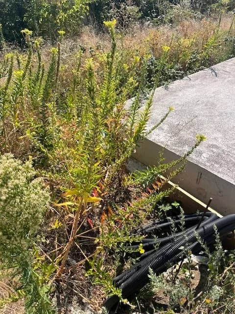 Grundstück kaufen in Neunkirchen – 693 m², € 132.000 – Bild 2 von 10