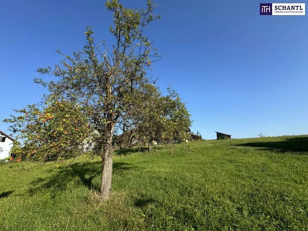 Grundstück kaufen in Graz-Umgebung – 913 m², € 295.000 – Bild 15 von 22