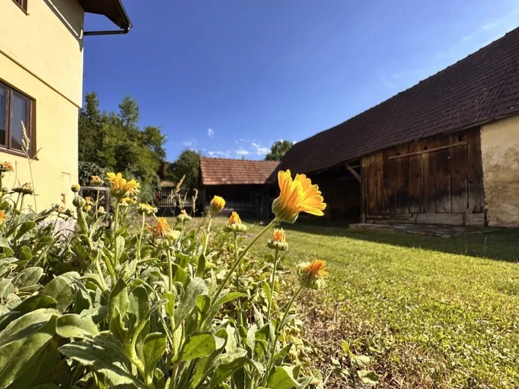 Haus kaufen in Neunkirchen – 123,9 m², € 189.000 – Bild 20 von 32