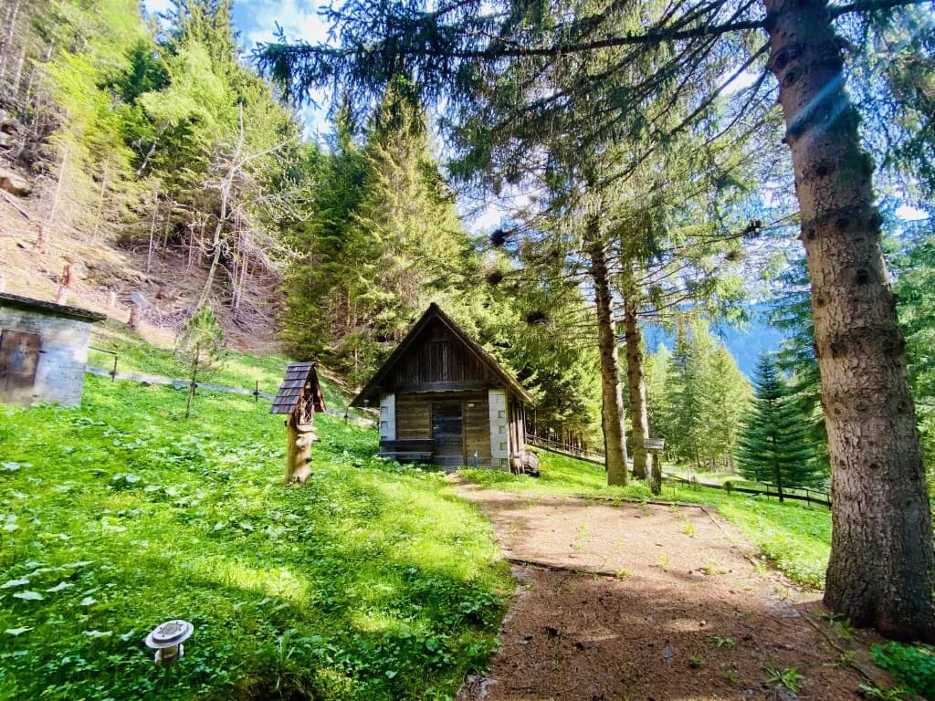 Haus kaufen in Murtal – 568 m², € 79.000 – Bild 12 von 50