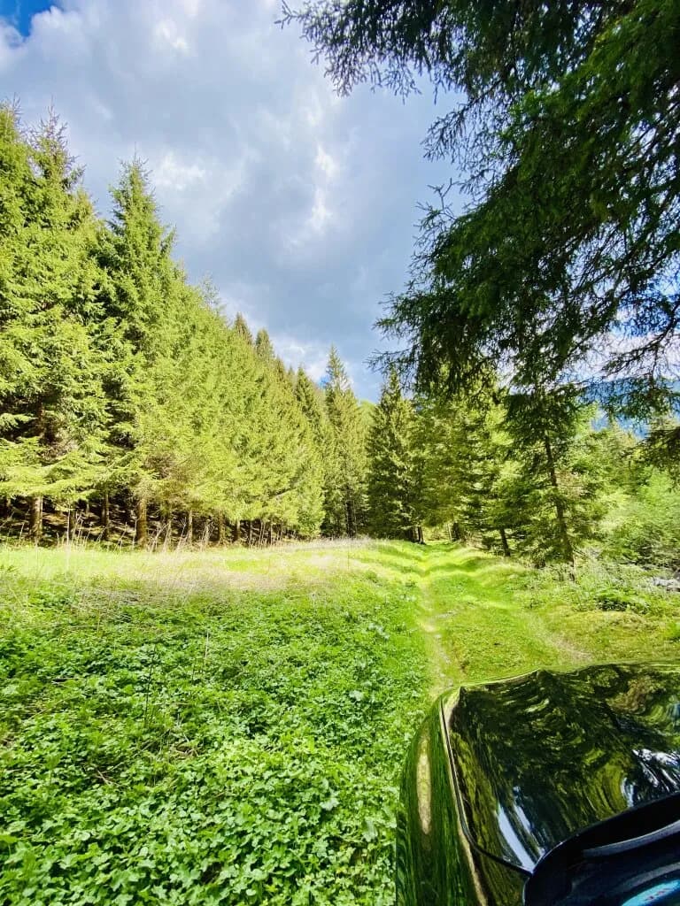 Haus kaufen in Murtal – 568 m², € 79.000 – Bild 49 von 50