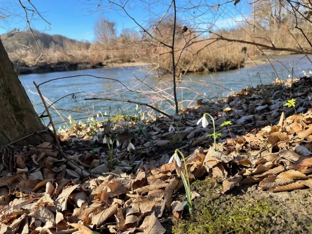 Grundstück kaufen in Leibnitz – 960 m², € 196.800 – Bild 2 von 7