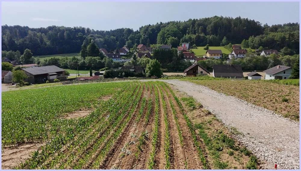 Grundstück kaufen in Südoststeiermark – 956 m², € 56.400 – Bild 4 von 20