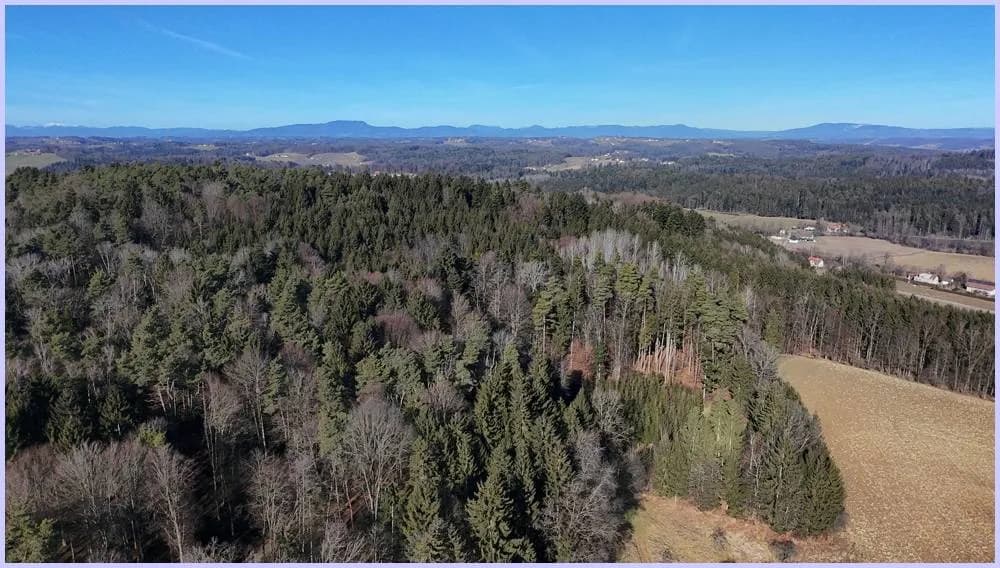 Grundstück kaufen in Südoststeiermark – 956 m², € 56.400 – Bild 13 von 20