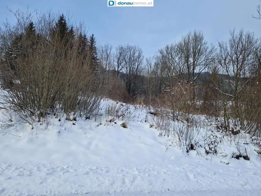 Grundstück kaufen in Bruck-Mürzzuschlag – 2 815 m², € 140.750 – Bild 4 von 19