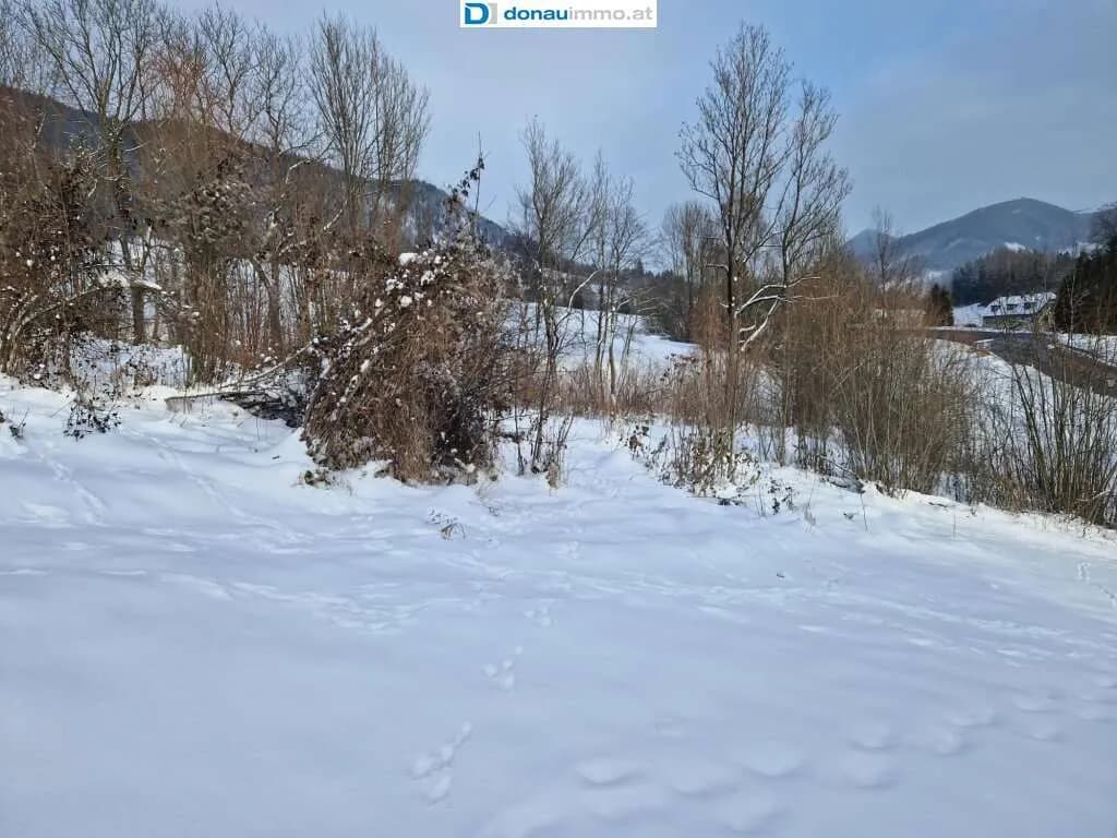 Grundstück kaufen in Bruck-Mürzzuschlag – 2 815 m², € 140.750 – Bild 9 von 19
