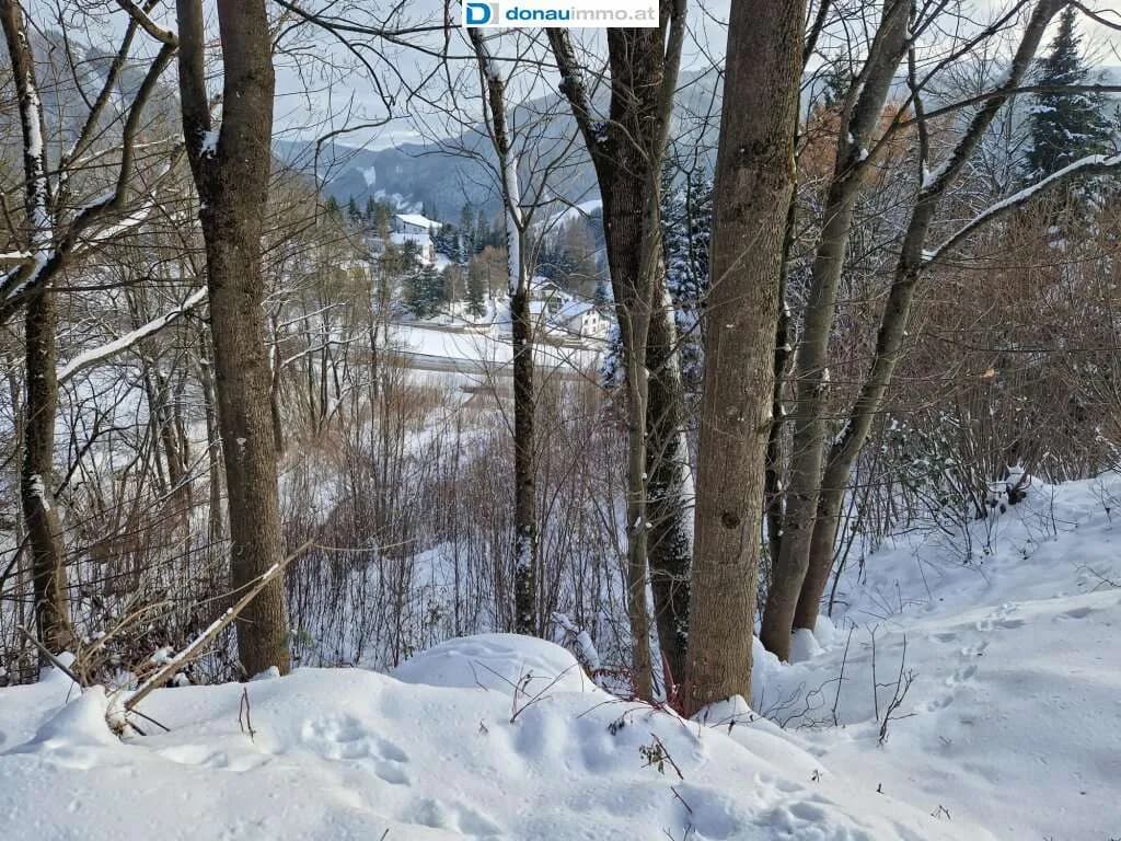 Grundstück kaufen in Bruck-Mürzzuschlag – 2 815 m², € 140.750 – Bild 11 von 19