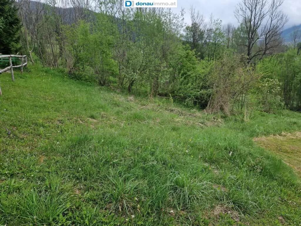 Grundstück kaufen in Bruck-Mürzzuschlag – 2 815 m², € 140.750 – Bild 14 von 19